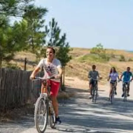 Charming House With Garden In Sables-d'olonne