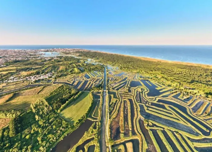 Charming House With Garden In Sables-d'olonne Les Sables-dʼOlonne